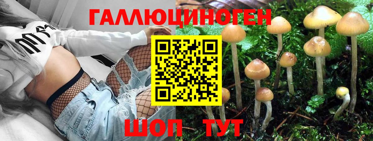 Тулун  Псилоцибиновые грибы ЛСД  Вход с VPN 